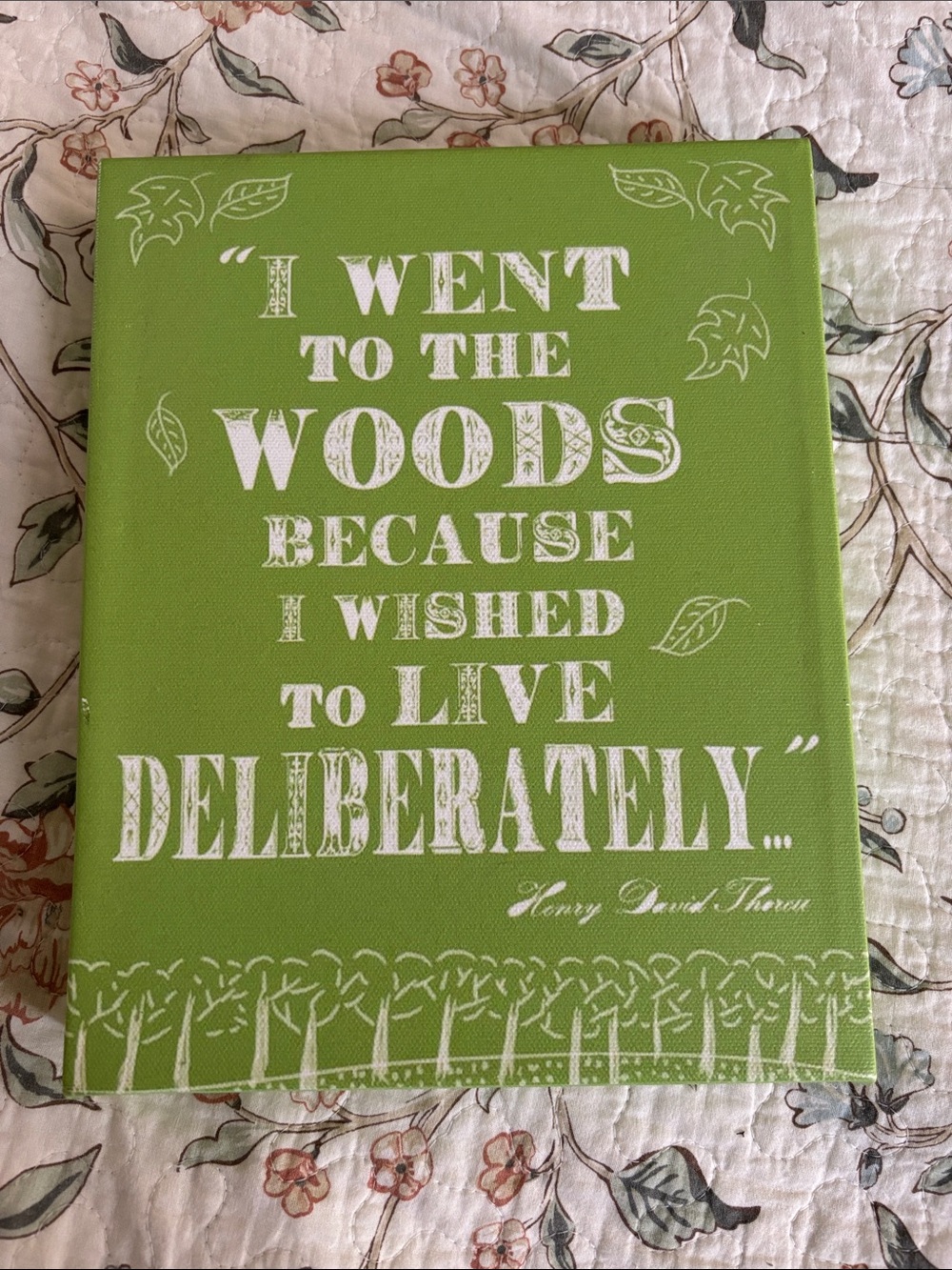 Green 'I Went to the Woods' Decorative Wall Canvas